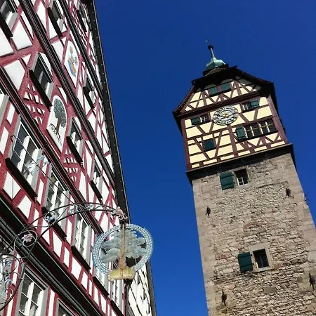 Gaestehaus Goethe-institut 公寓式酒店 施韦比施哈尔