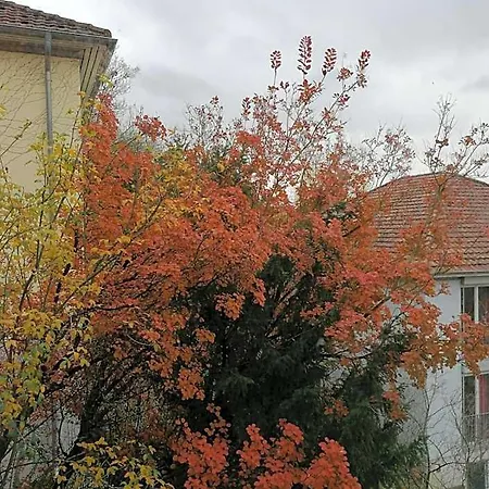公寓式酒店 Gaestehaus Goethe-institut *