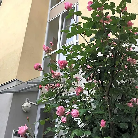 Gaestehaus Goethe-institut *